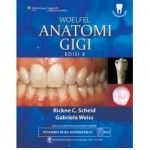 Buku WOELFEL Anatomi Gigi