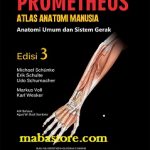 Prometheus Sistem Gerak Michael Schunke